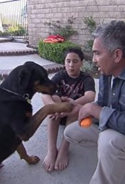 Dog Whisperer con Cesar Millan