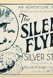 The Silent Flyer