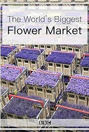 The World's Biggest Flower Market