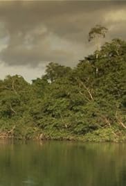 Amazon River Crocs