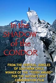 In the Shadow of the Condor