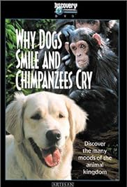 ¿Por qué los perros Smile & chimpancés Cry