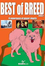 Roaring Leo Presents: Best of Breed Volume 1
