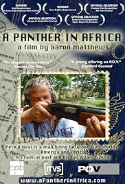 Una pantera en África