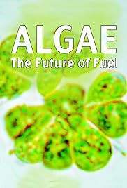 Algae: The Future of Fuel