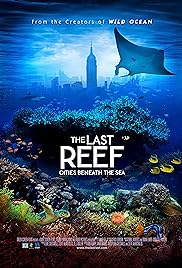 El último Reef 3D