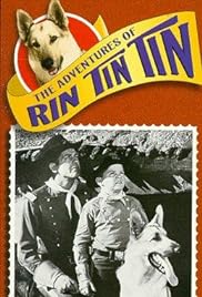 Rin Tin Tin and the Printer's Devil