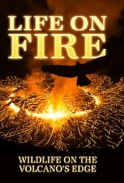 Vida en el fuego: la vida silvestre en el borde del volcán