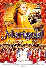  Marigold 