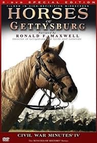 Caballos de Gettysburg