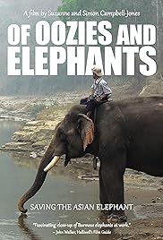 De Oozies y Elefantes