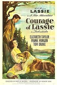El coraje de Lassie