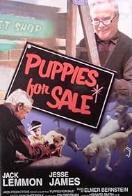 Cachorros en venta