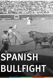 Corrida de toros española