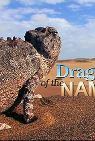 (Dragones del Namib)