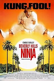 (Beverly Hills Ninja)