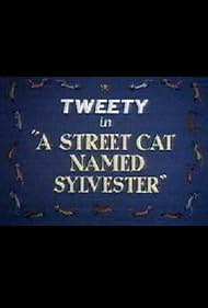 Un gato llamado Sylvester calle