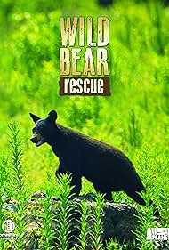 Rescate salvaje del oso