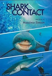 Shark Contact
