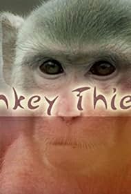 Ladrones de mono