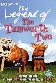 La Leyenda de los dos Tamworth