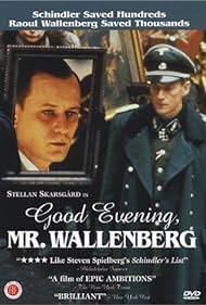 Dios Afton, Herr Wallenberg