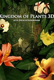 Reino de Plantas 3D