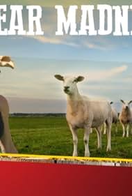 Shear Madness- IMDb