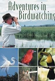 Las aventuras de observación de aves