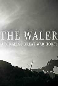 Caballo Gran Guerra de Australia: El Waler