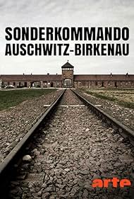 Sonderkommando de Auschwitz -Birkenau