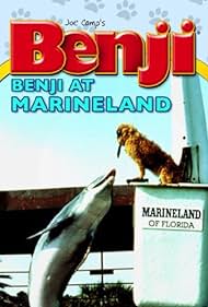 Benji cae en picado en Marineland