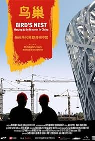 Nido de Pájaro - Herzog & De Meuron en China