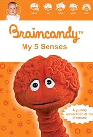 Braincandy: Mis cinco sentidos