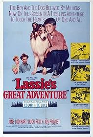 De Lassie Great Adventure