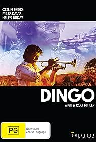 (Dingo)