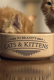 Gatos y gatitos de Jo Brand
