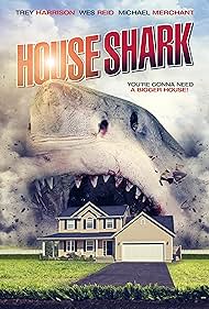 Casa Shark