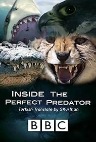 Dentro de la perfecta Predator
