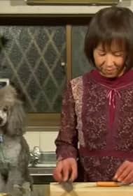  El cocinar con el perro  Salmón Chan Chan Yaki