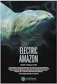 Amazon electrico