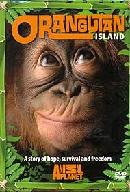 Isla Orangután