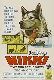 Nikki, perro salvaje del Norte