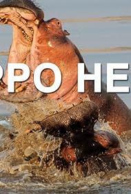 Hippo infierno